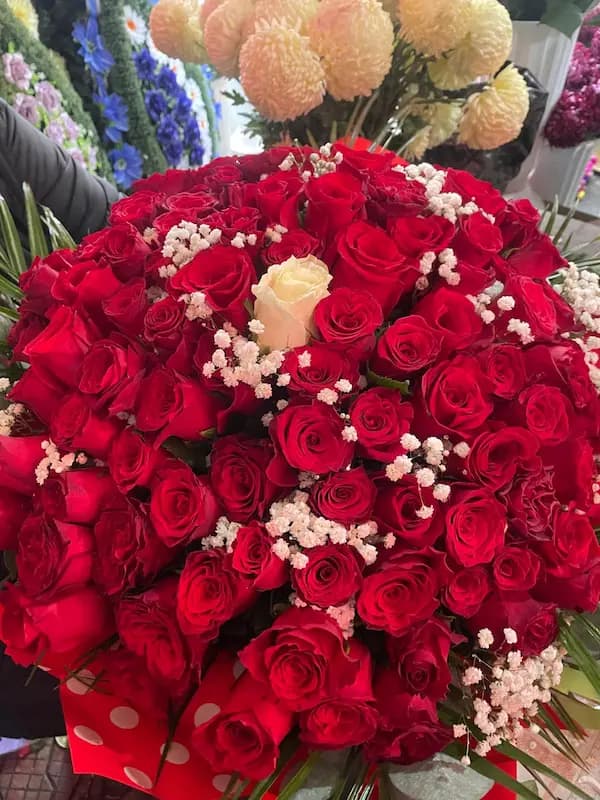 Oferte săptămânii 1